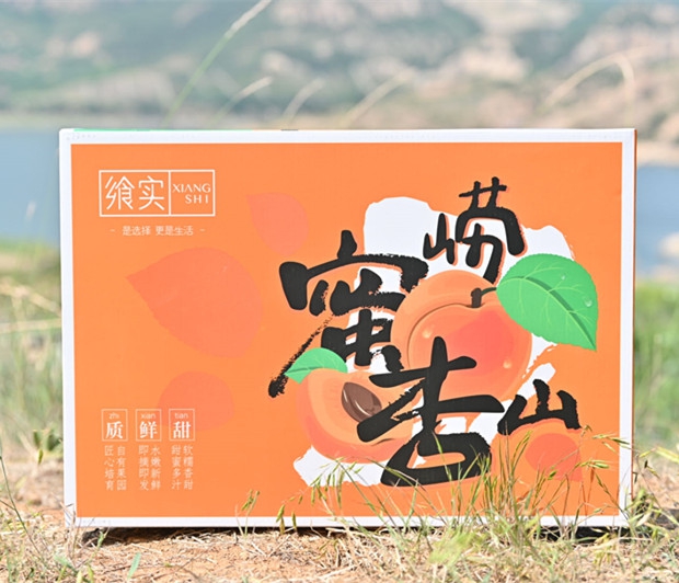 崂山蜜杏 崂山山地种植山泉水灌溉软糯香甜甜蜜多汁