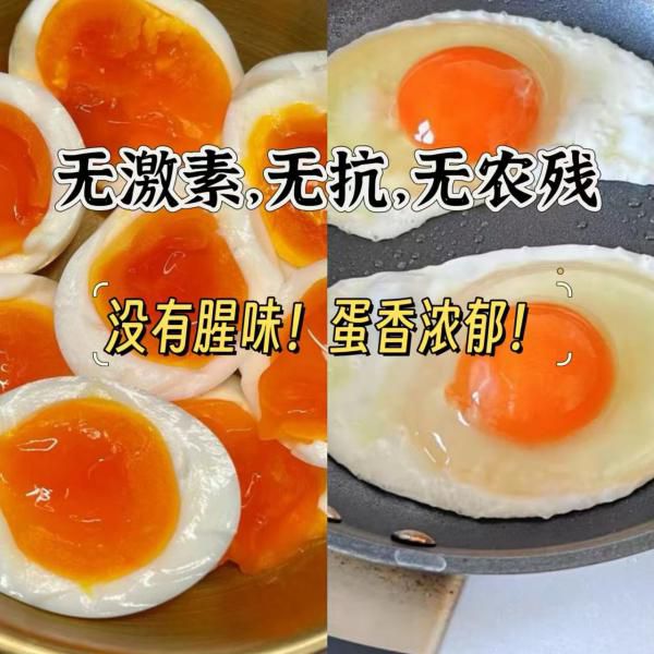 上海军安可生食鸡蛋｜绿色安全、无抗生素、无激素、无农残！蛋味充足，不带一丝腥味！营养价值秒杀普通蛋！