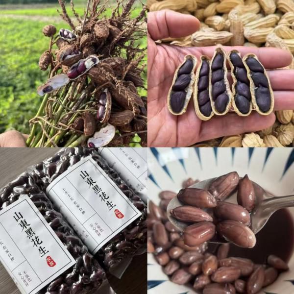 山东黑花生仁｜以黑补黑，花青素爆表！软糯甘甜，越嚼越香，每日一小把开启轻养生