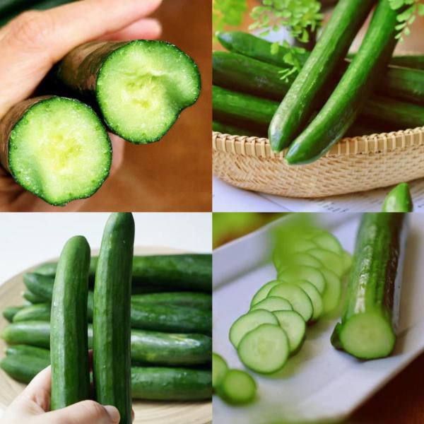 沙漠绿芯水果黄瓜｜补水神器，清甜嘎嘣脆，黄瓜味超浓！1000米+高海拔生态种植，不使用化肥农药，绿色健康