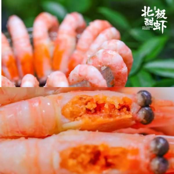 纯野生头籽北极甜虾｜3-4年慢长成虾，肉质紧实Q弹天然鲜甜！无激素无污染，渔船即捕即冻锁鲜，保留巅峰口感与海洋原香！
