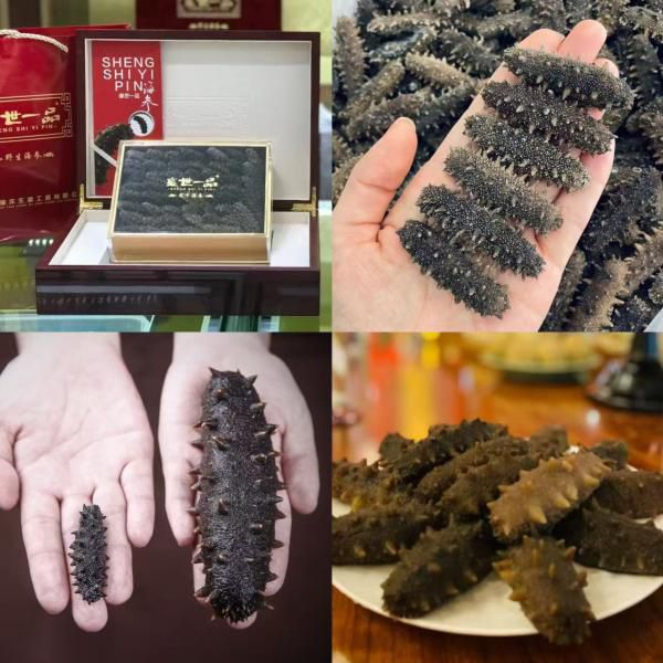 大连淡干刺参｜可配礼盒，新春送长辈健康礼！家有孕妇、宝宝、老人都适合吃！工作压力大的顶梁柱也一定要吃，药补不如食补，安全有效