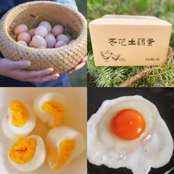 正宗九华山土鸡蛋｜老范生态农场直供，高山五谷散养土鸡蛋，无激素、无抗生素，孕妇宝宝都可以放心吃！当日鲜蛋发货，破损包赔