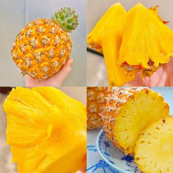 海南树上熟芒果凤梨｜不甜不好吃包退！甜度18+纯甜无渣，汁水成蜜！自带芒果香气，全熟采摘，香甜浓郁！顺丰京东送货上门