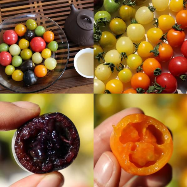 寿光七色小番茄｜基地现摘现发，顺丰送货上门！七个品种，七种颜色，风味各不相同！有的蜂蜜甜、有的果香浓、有的酸甜平衡，一颗接一颗停不下来